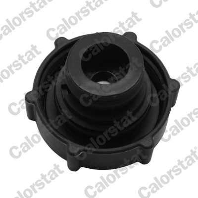 Cap, coolant tank RC0194