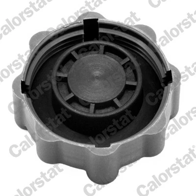 Cap, coolant tank RC0025
