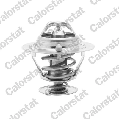 Thermostat, coolant TH6294.82J