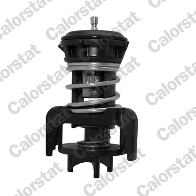 Thermostat, coolant TH7275.92J