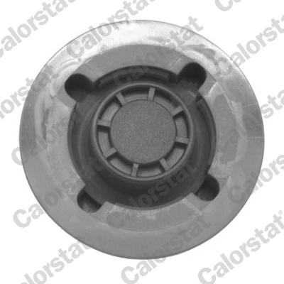 Cap, coolant tank RC0033