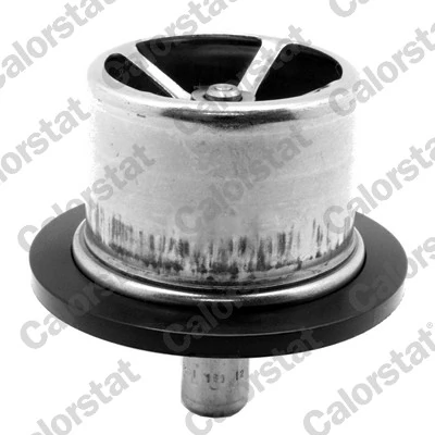 Thermostat, coolant THS19105.82