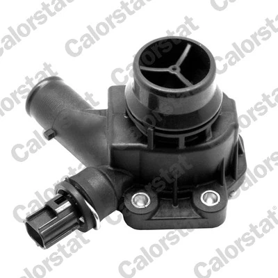 Thermostat, coolant TH7154.90J