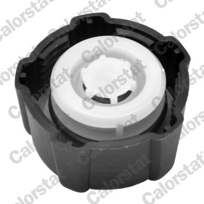Cap, coolant tank RC0016