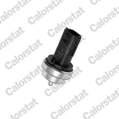 Sensor, coolant temperature WS3019