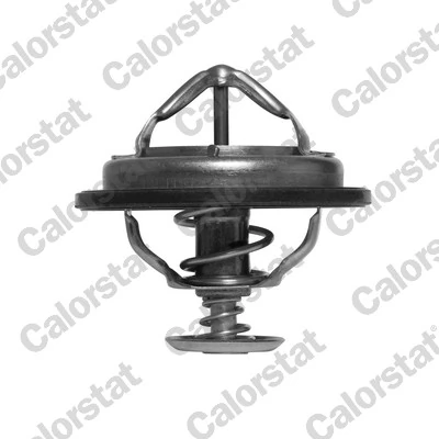 Thermostat, coolant TH6525.82J