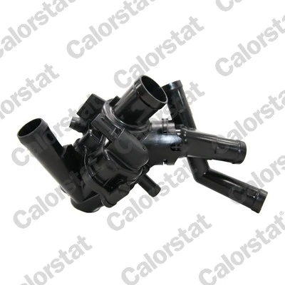 Thermostat, coolant TE7379.97J