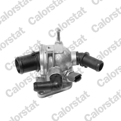 Thermostat, coolant TH6981.88J