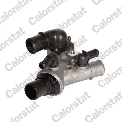 Thermostat, coolant TH5976.80J