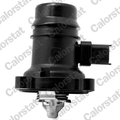 Thermostat, coolant TE7246.103J