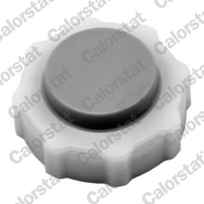 Cap, coolant tank RC0018