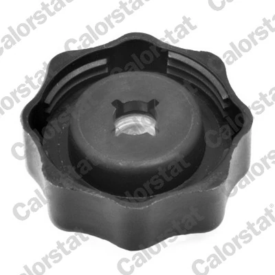 Cap, coolant tank RC0010