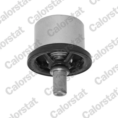 Thermostat, coolant THS19054.86