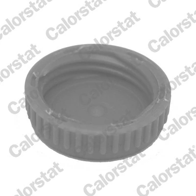 Cap, coolant tank RC0188