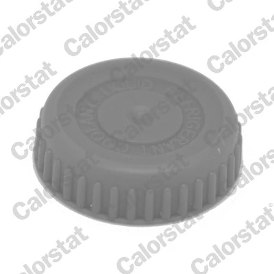 Cap, coolant tank RC0188