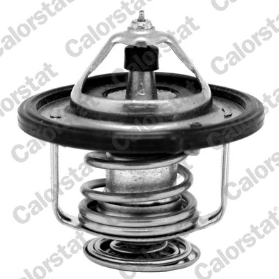 Thermostat, coolant TH7185.80J