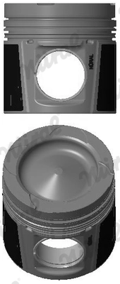 Piston 87-437500-00