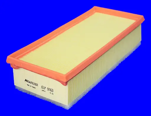 Air Filter ELP9163