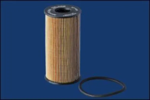 Oil Filter ELH4519