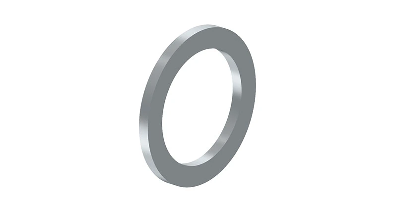 Seal Ring 8114011724