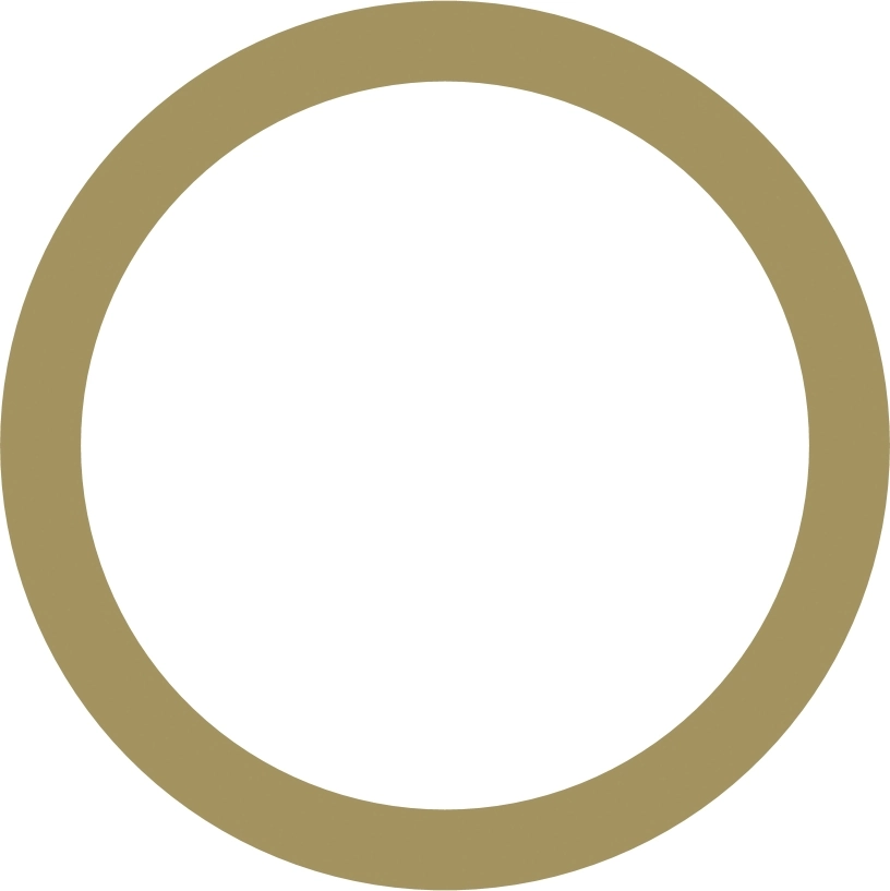 WABCO 8930300002 Pressure Ring
