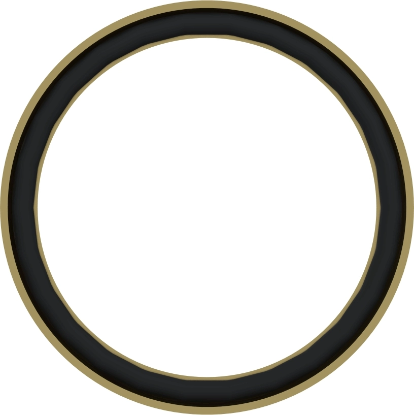 WABCO 8930300002 Pressure Ring