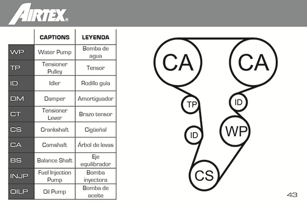 Water Pump & Timing Belt Kit WPK-199803