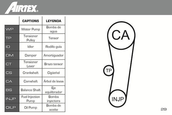 Water Pump & Timing Belt Kit WPK-161901