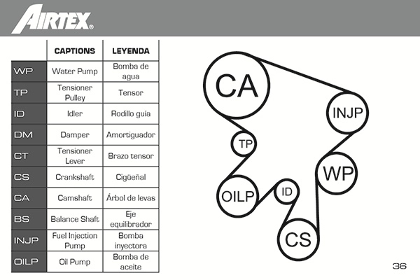 Water Pump & Timing Belt Kit WPK-169901