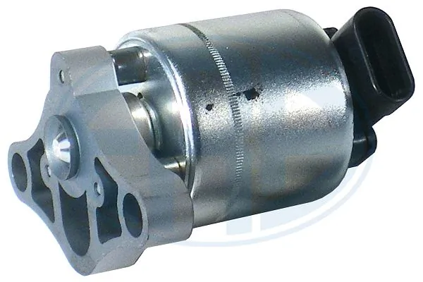EGR Valve 555019