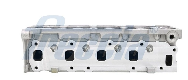 Cylinder Head CH17-1019