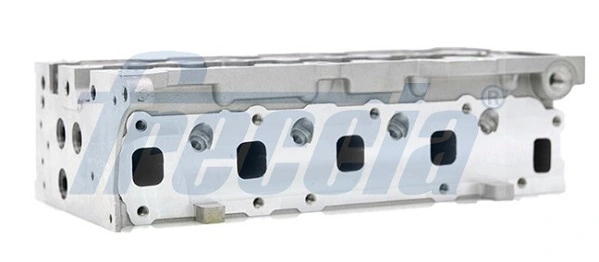 Cylinder Head CH17-1019