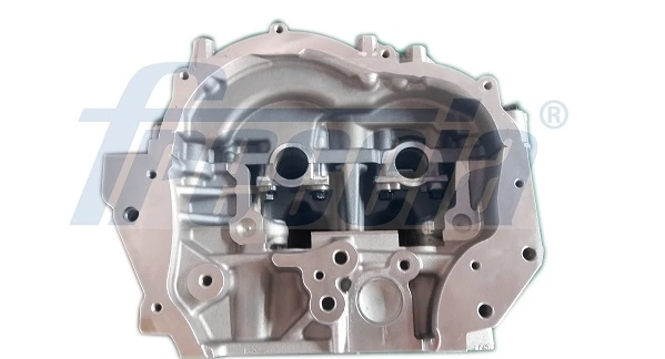 FRECCIA CH17-1004 Cylinder Head