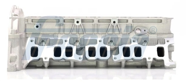FRECCIA CH17-1011 Cylinder Head
