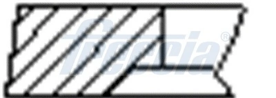 Piston Ring Kit FR10-207900