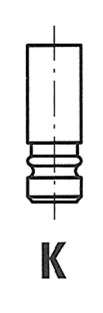 Intake Valve R3934/S