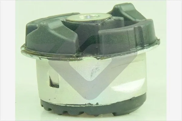 Bushing, axle beam 590440