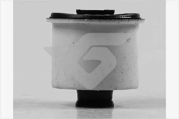 Bushing, axle beam 590171