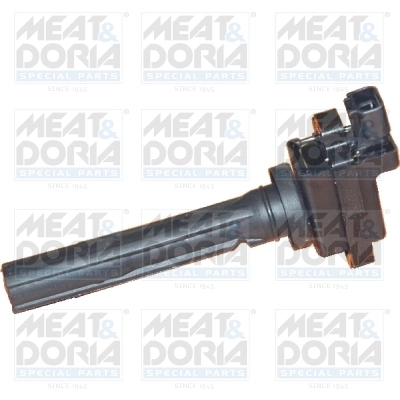Ignition Coil 10440
