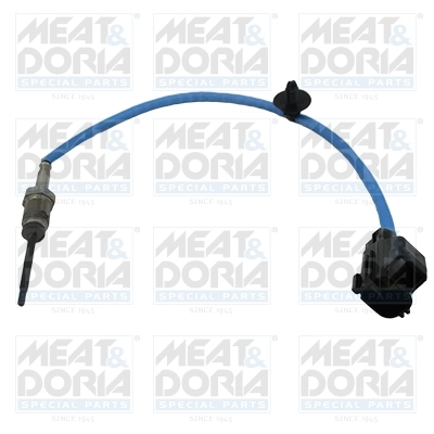 Sensor, exhaust gas temperature 12431