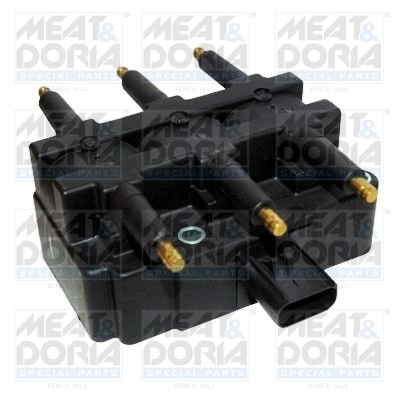 Ignition Coil 10656
