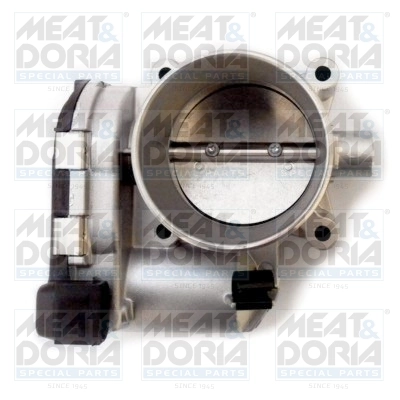 Throttle Body 89309