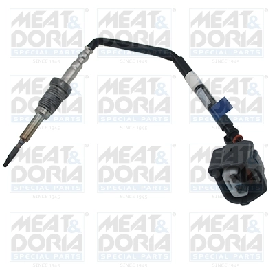 Sensor, exhaust gas temperature 12521