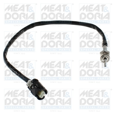Sensor, exhaust gas temperature 12696