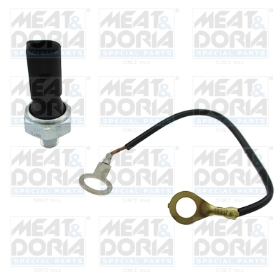 Oil Pressure Switch 72100