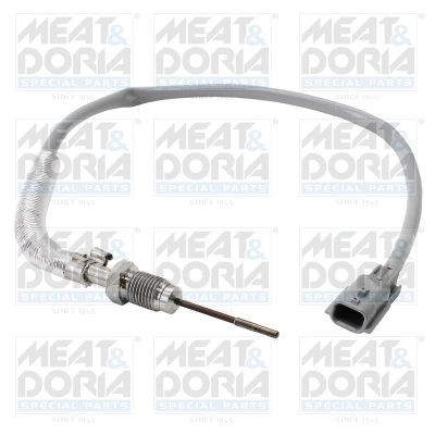 Sensor, exhaust gas temperature 12547
