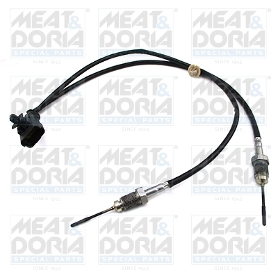 Sensor, exhaust gas temperature 12449