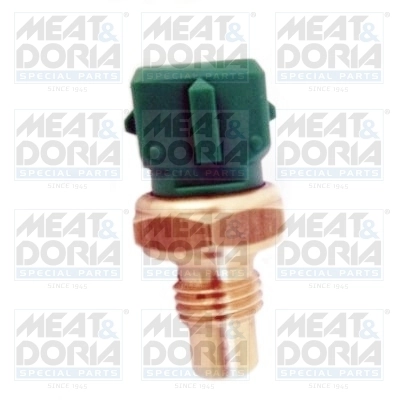 Sensor, coolant temperature 82013