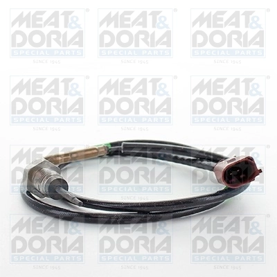 Sensor, exhaust gas temperature 12388