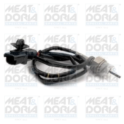 Sensor, exhaust gas temperature 12304